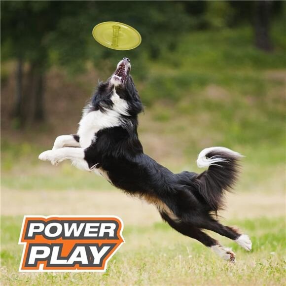 Power Play Ultra Glider Gripz Dog Flying Disc Large (1 Count) - Picture 2 of 7